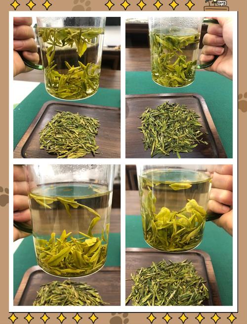 龙井茶能用紫砂壶泡吗