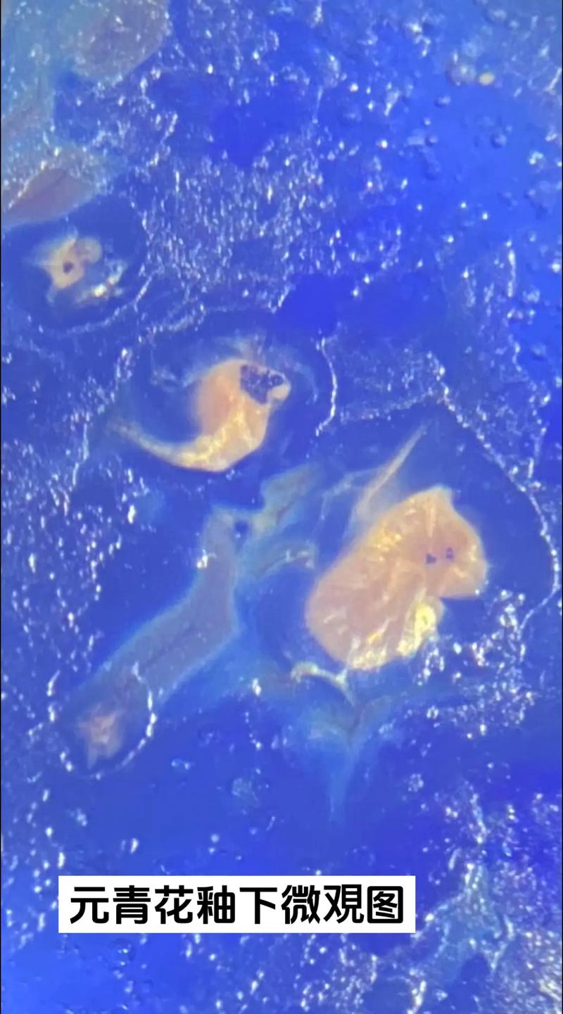 元代瓷器秞下结晶图片
