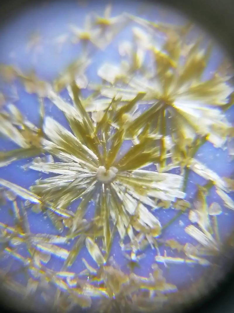 元代瓷器秞下结晶图片