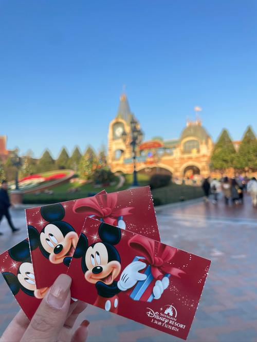 2月去上海迪士尼冷吗