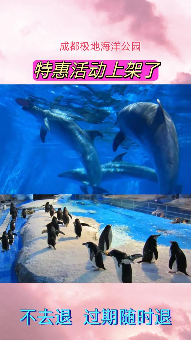 成都极地海洋公园在哪里