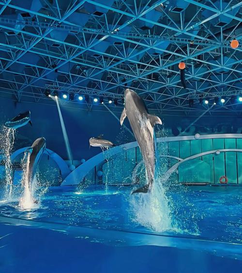 成都极地海洋公园在哪里