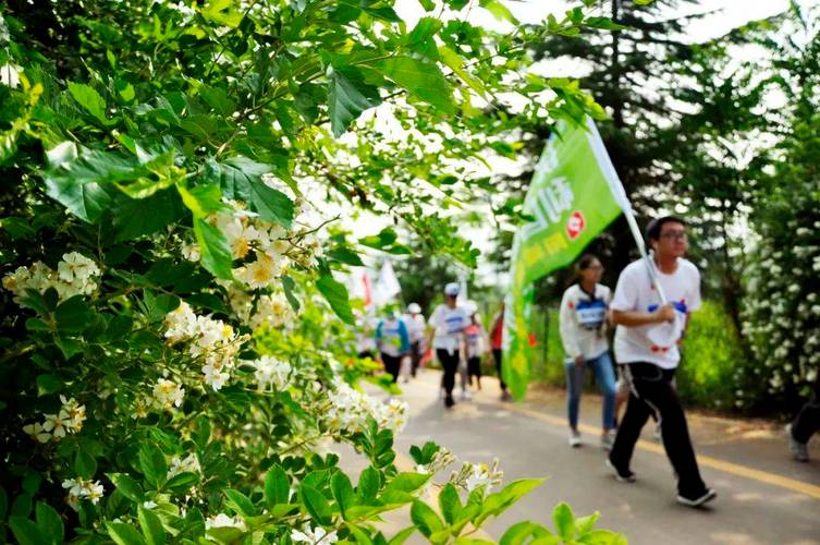 北京国际山地徒步大会