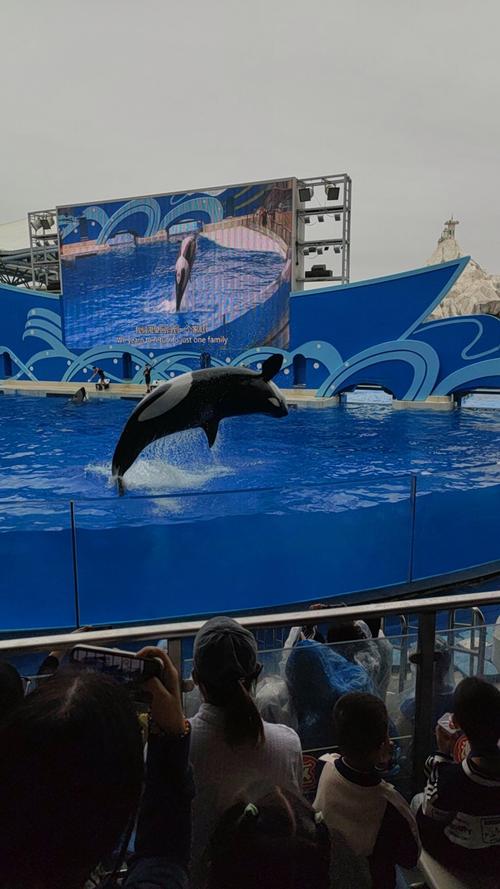 北京欢乐谷奇幻海洋馆