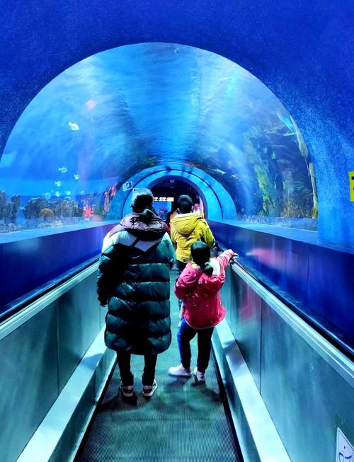 北京欢乐谷奇幻海洋馆