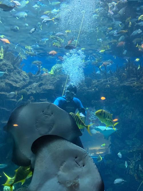 北京欢乐谷奇幻海洋馆