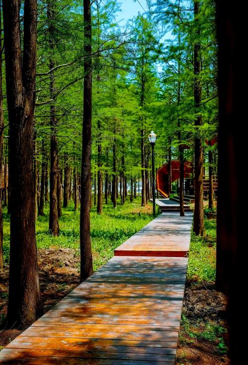 上海郊区旅游景点推荐