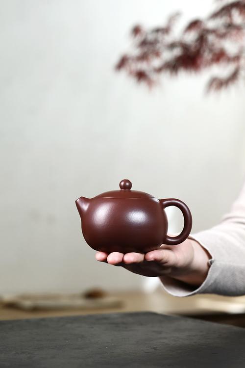 养得最靓紫砂壶的图片