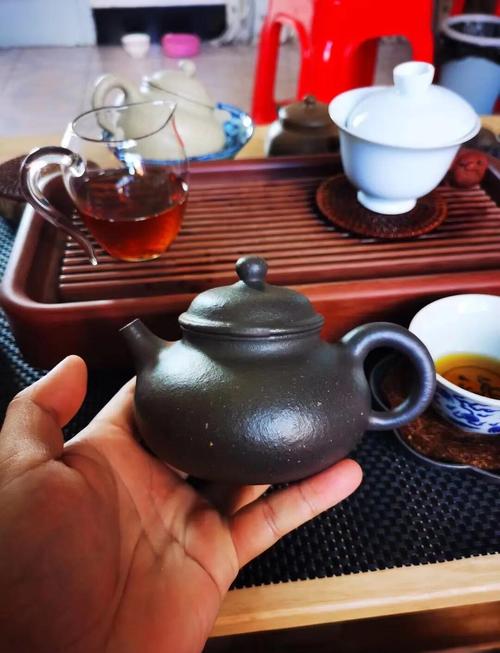 养得最靓紫砂壶的图片