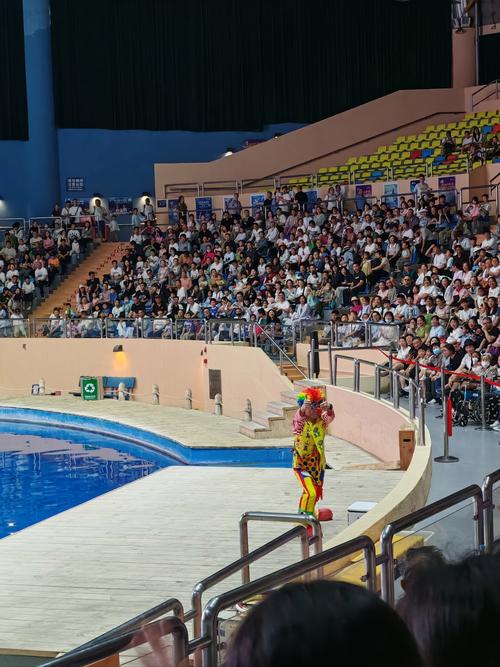 北京动物园海洋馆表演