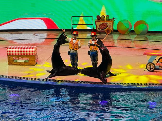 北京动物园海洋馆表演