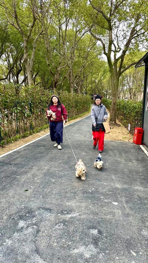 上海哪个公园可以带狗