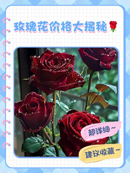 成都玫瑰花批发价格表