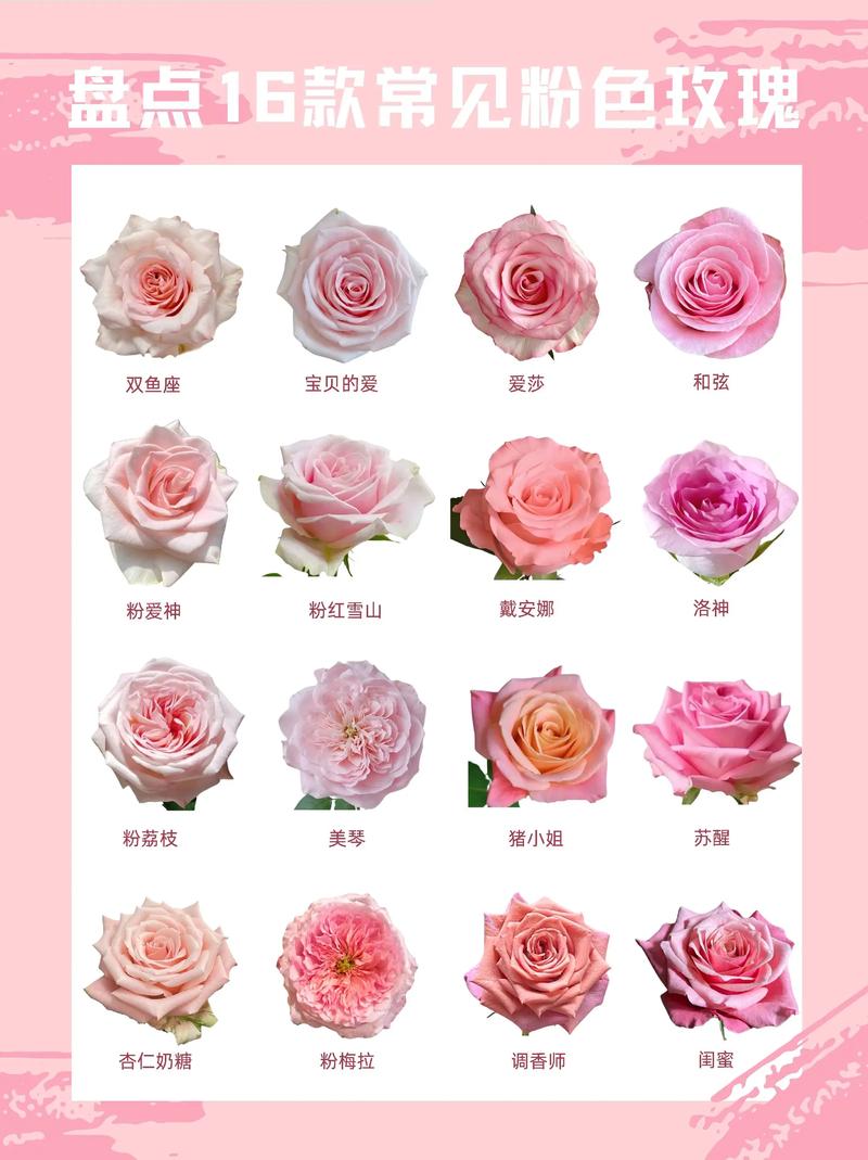 成都玫瑰花批发价格表