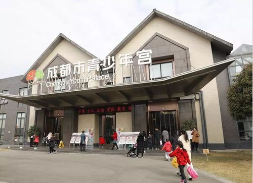 成都市青少年宫官网站