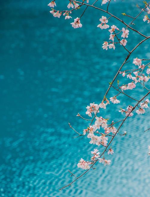 成都出发九寨沟跟团游