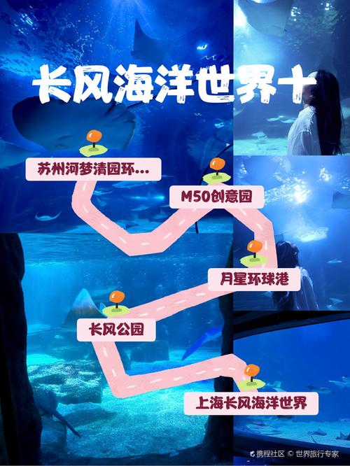 上海站到长风海洋世界