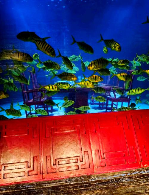 上海站到长风海洋世界