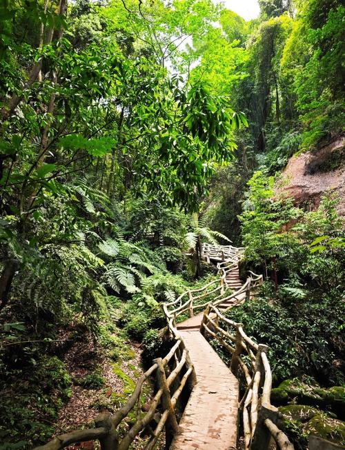 成都周边一日游新景点