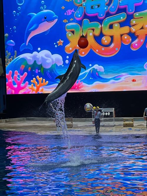 北京哪个海洋馆最好玩
