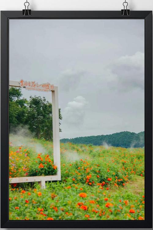 国庆节成都周边一日游