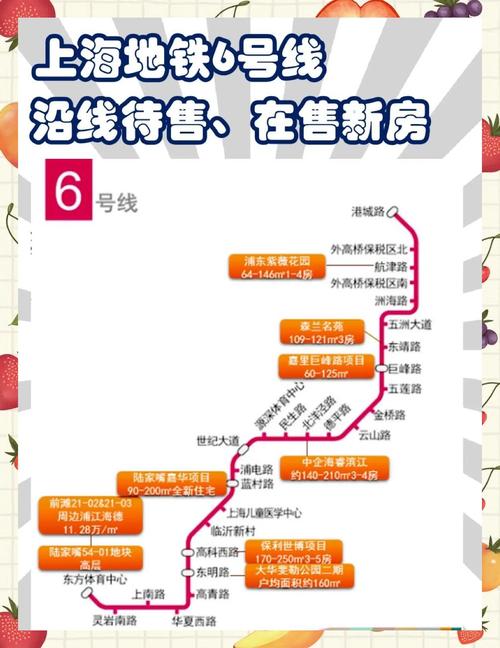 上海六号线地铁线路图