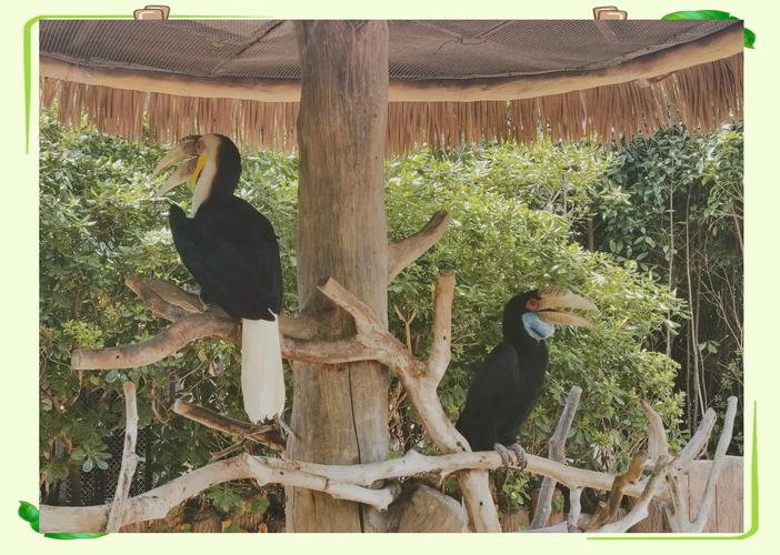 上海野生动物园导游词