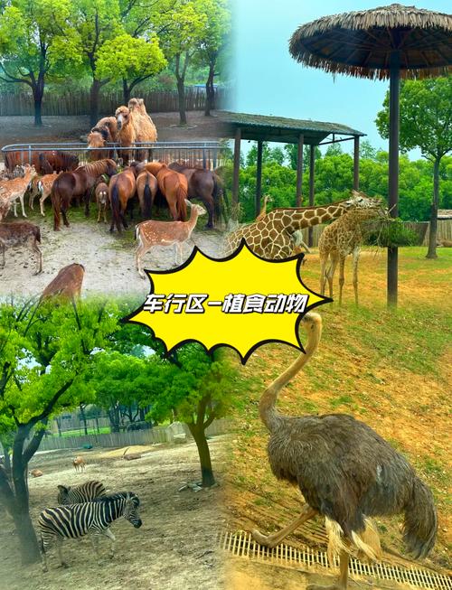 上海野生动物园导游词