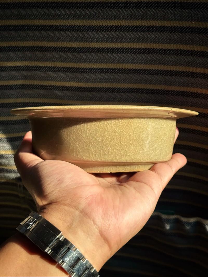 宋代龙泉大窑瓷器标本