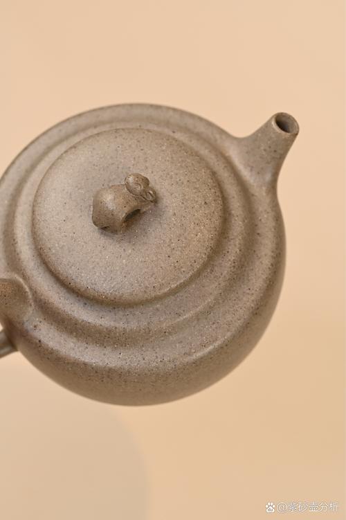 紫砂壶带很多芝麻黄点