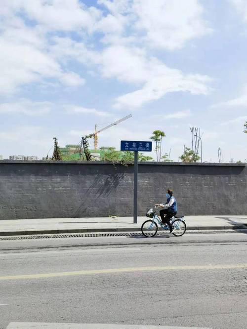 成都文星镇小姐一条街