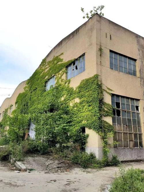 成都文星镇小姐一条街