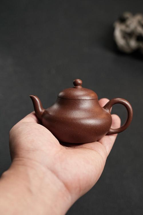 许小雅紫砂壶十八罗汉