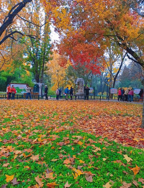 北京秋天的天气怎么样