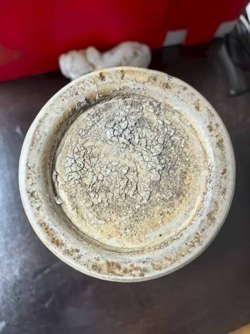 明代永乐出土瓷器图片