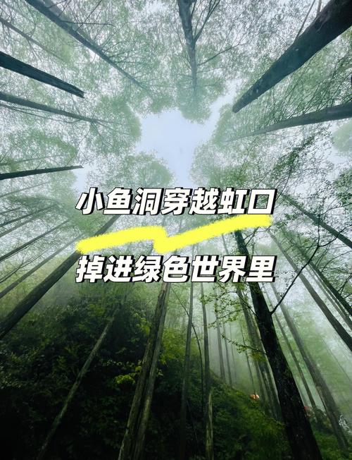 成都小鱼洞一日游攻略