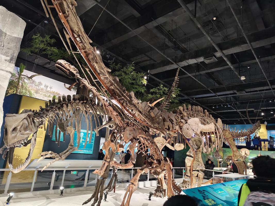 北京自然博物馆在哪里