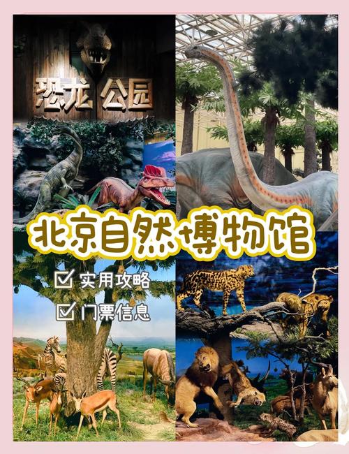 北京自然博物馆在哪里