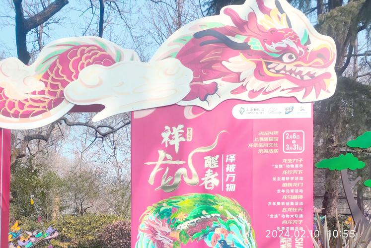 上海动物园附近停车场