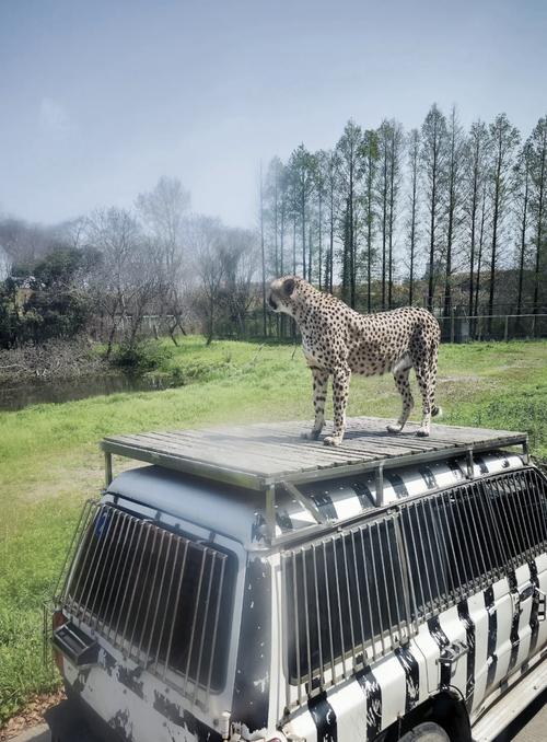 上海动物园附近停车场