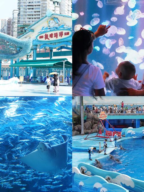 成都市海洋馆在哪里好