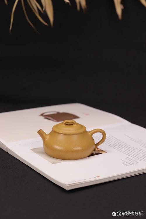 紫砂壶买回来怎么清洗