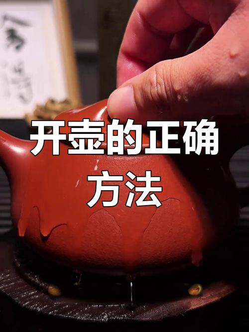 紫砂壶的正确拿法视频