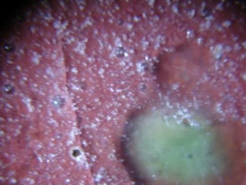 从瓷器气泡看瓷器新老