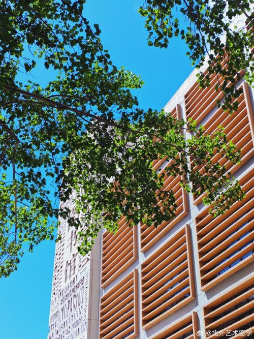 北京外国语国际商学院