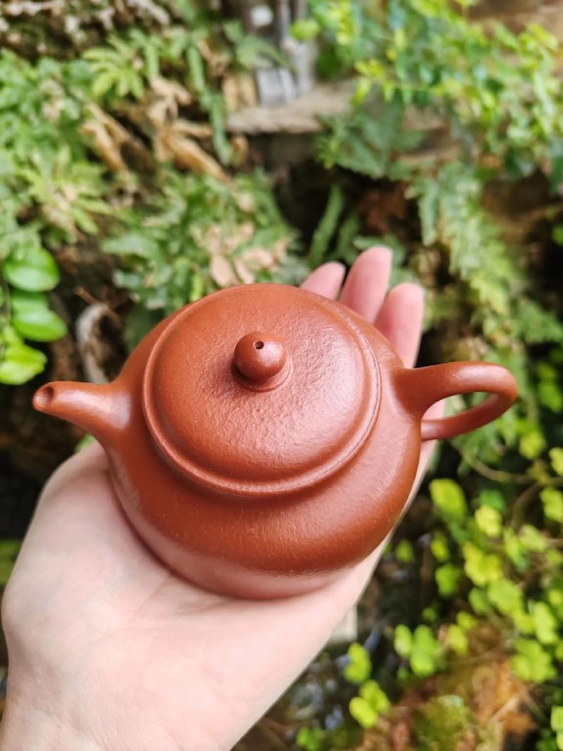 小煤窑朱泥紫砂壶图片