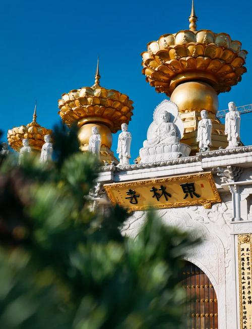 上海金山旅游景点大全