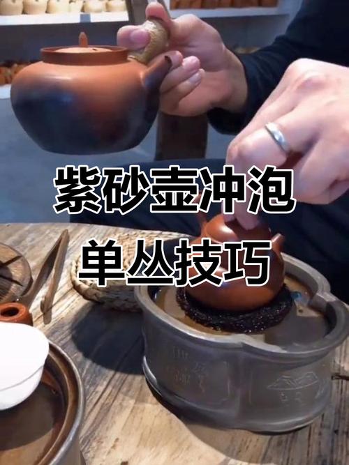 凤凰单枞用什么紫砂壶