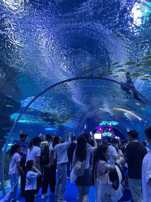 上海海底世界哪个好玩