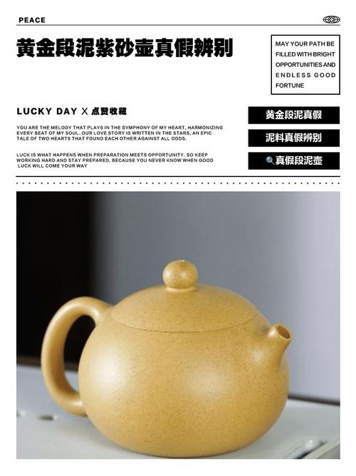 黄沙壶与紫砂壶那个好